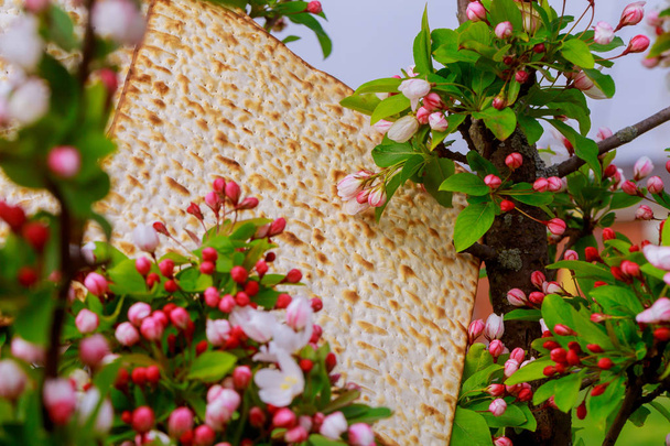 Judaism and religious on jewish matza on passover tallit - Photo, Image