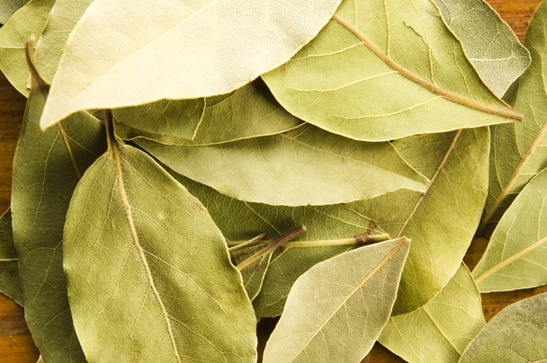 bay leafs - Photo, image