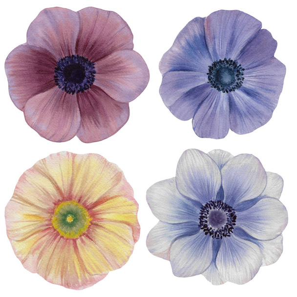 Seamless watercolor flowers pattern. Poppies flowers. Hand painted flowers of different colors. Flowers for design.   - Foto, Imagen