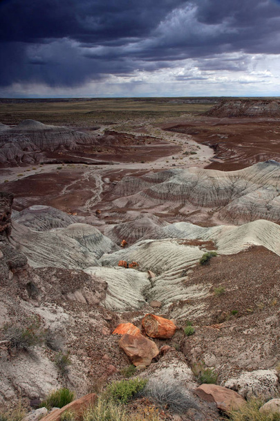 Pustiny z malované pouště ve státním parku zkamenělé lesy v Arizoně. - Fotografie, Obrázek