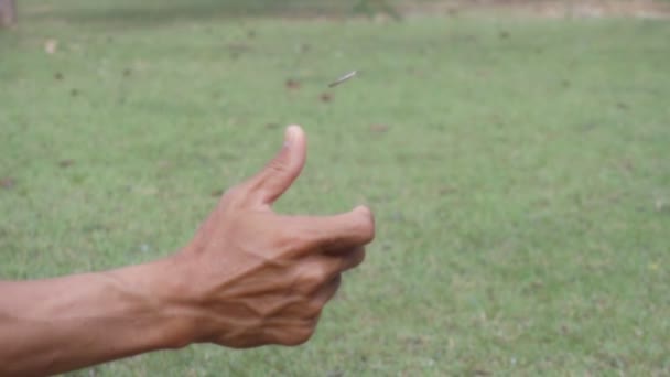 Slowmotion shot gooien Coin te flip op hoofden of staarten - Video