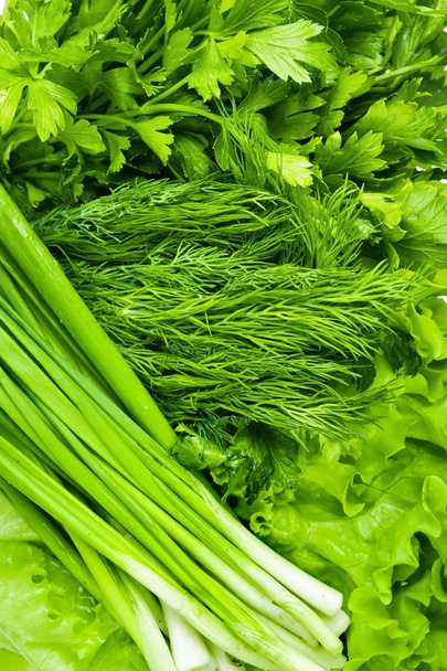 Fresh vegetables. Fennel, parsley, onion, lettuce. - Foto, afbeelding