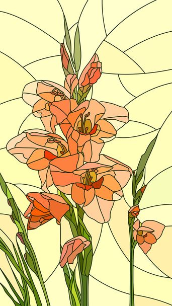 Vector illustration of flowers red gladiolus. - Vecteur, image