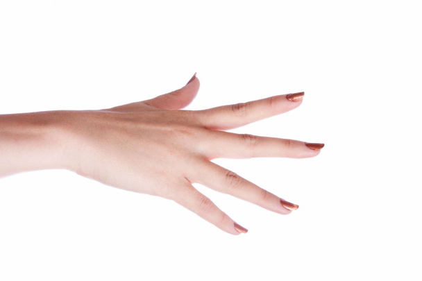 Hand isolated on a white background. - 写真・画像