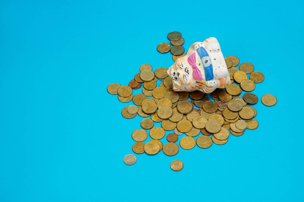 Cat Piggy Bank met munten geïsoleerd op blauwe achtergrond - Foto, afbeelding