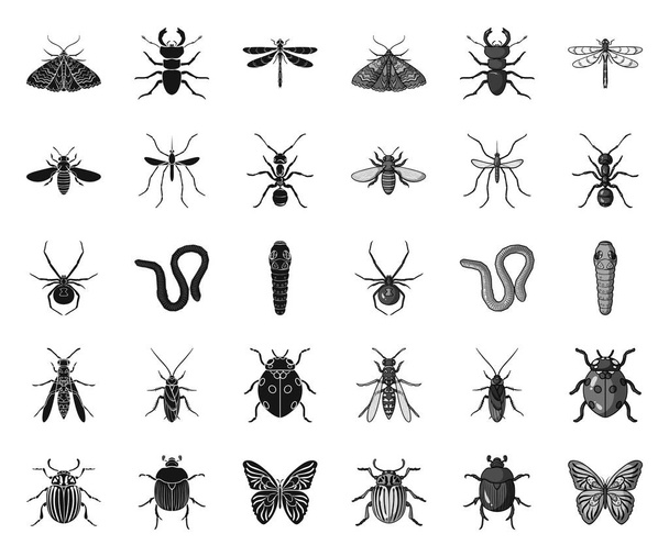 Different kinds of insects black.mono icons in set collection for design. Insect arthropod vector symbol stock web illustration. - ベクター画像
