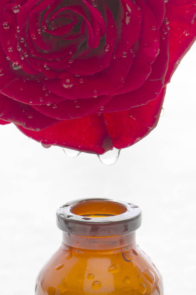 Essential oil dropping from flower to the bottle. Essence liquid cosmetic. Perfume.Aromatherapy. - Photo, Image