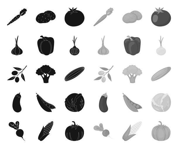 Différents types de légumes icônes black.mono dans la collection ensemble pour le design. Légumes et vitamines symbole vectoriel illustration web stock
. - Vecteur, image