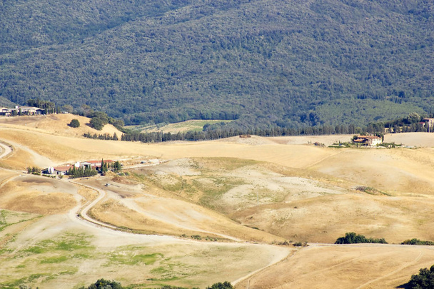 vista del paisaje típico de Toscana en verano, Italia
 - Foto, Imagen