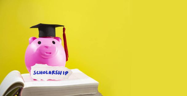 Conceito de educação com rosa piggy banco economizando dinheiro e graduados
 - Foto, Imagem