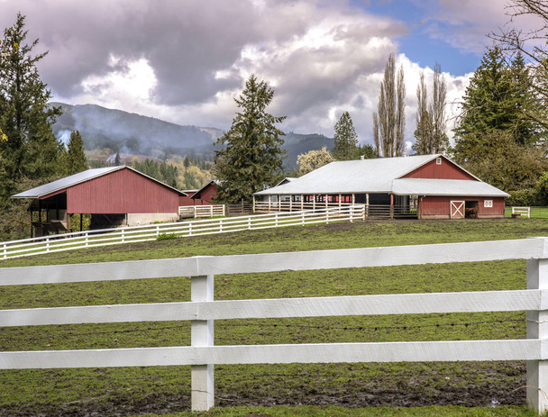 Gazdaságok és kerítések a vidéki Washington államban. - Fotó, kép