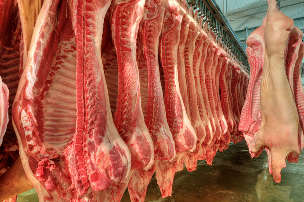 świeżego mięsa w fabryce cięcie na zimno - Zdjęcie, obraz