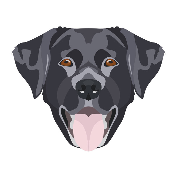 Illustrazione Labrador nero
 - Vettoriali, immagini