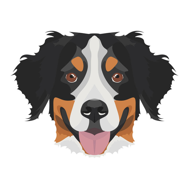 Illusztráció Bernese Mountain Dog - Vektor, kép