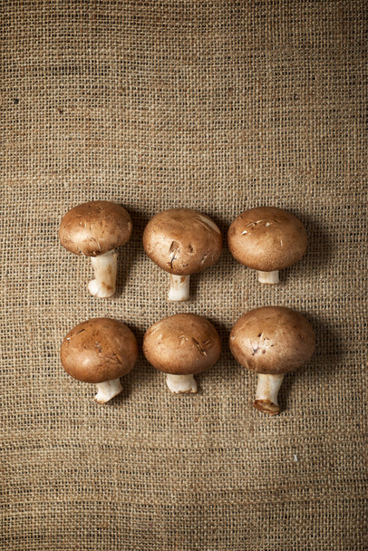 Mushrooms close up - Valokuva, kuva