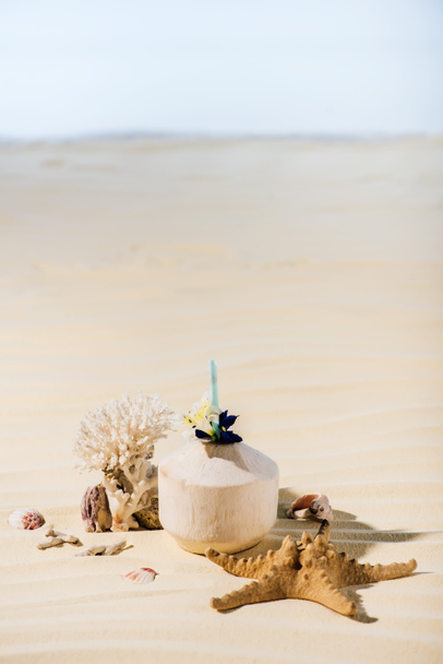 cocktail de noix de coco, étoile de mer, corail et pierres de mer sur la plage de sable avec espace de copie
 - Photo, image