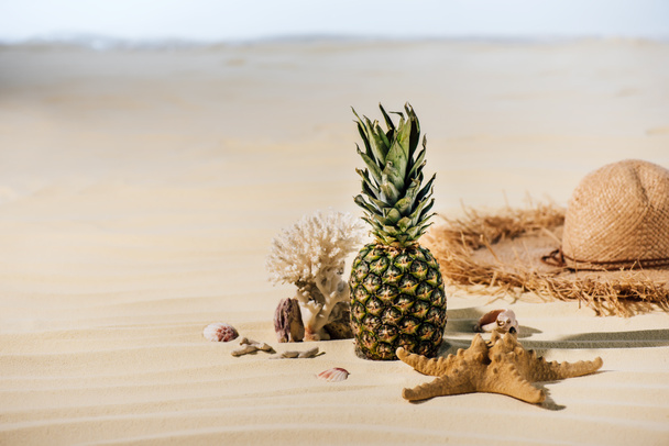 ananász, Straw hat, tengeri csillag, korall-és tengerkövek a homokos strandon, másolási tér - Fotó, kép