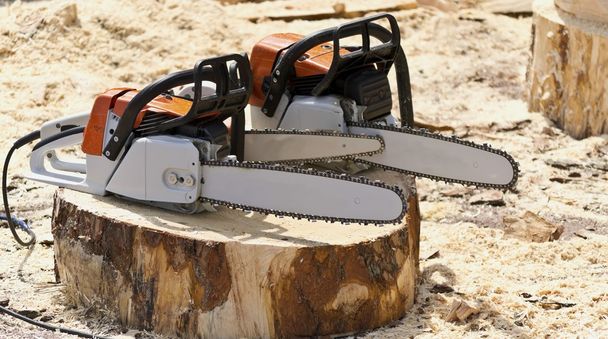Motorsägen für die Holzbearbeitung an einem frisch gefällten Baumstumpf. - Foto, Bild