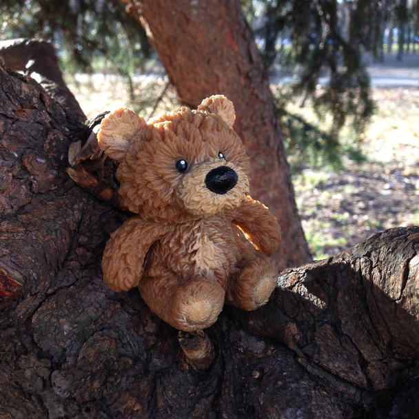 Photo toy bear sitting on a tree. Lonely soft bear sit on a pine branch. Teddy bear nature landscape. - Photo, Image