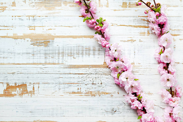 Fruit tree branch with fresh flowerings. - Photo, Image