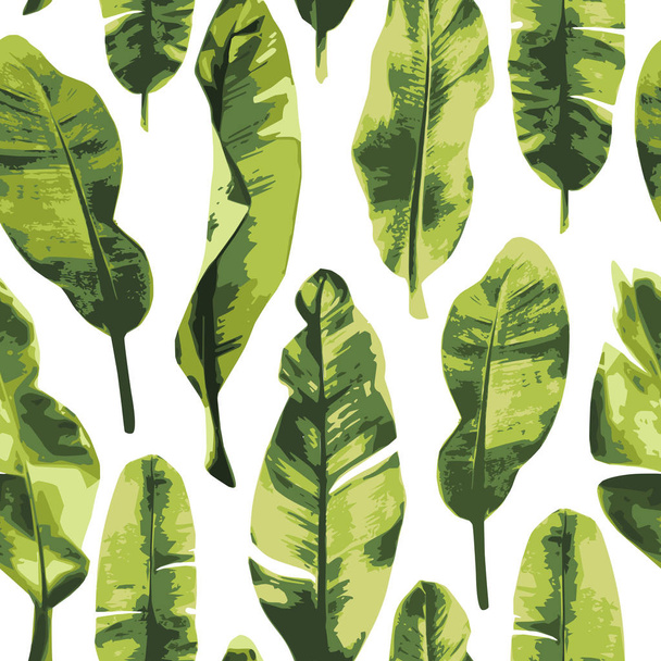 Vektor varrat nélküli mintázat absztrakt és stilizált zöld trópusi levelei banán. Nyári háttér egzotikus növényekkel. Felhasználás textil, belső, csomagolópapír és egyéb design. - Vektor, kép