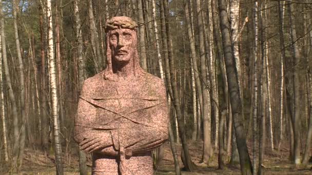 Jézus szobor állni erdő közelében - Felvétel, videó
