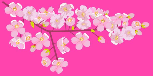 Pink Cherry blossom on branch with bud or shoots. Empty copyspace with floral border. Vector illustration. - Vector, Image