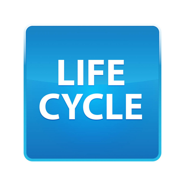Levenscyclus glanzende blauwe vierkante knop - Foto, afbeelding