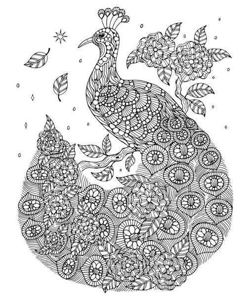 Peafowl indiana para colorir página
 - Vetor, Imagem