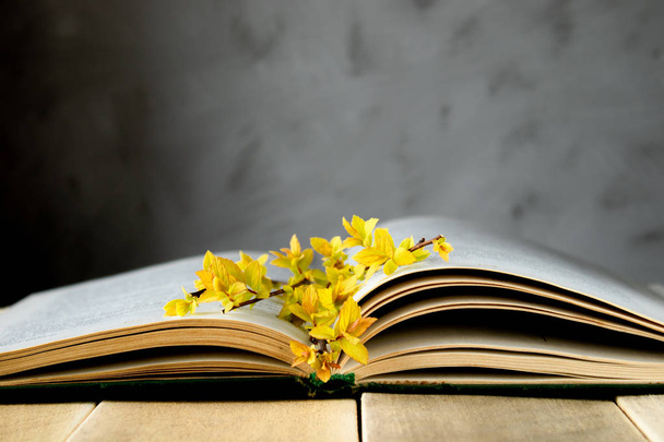 Ancien livre ouvert sur une table en bois. Branches de feuilles jaunes sur le livre
. - Photo, image
