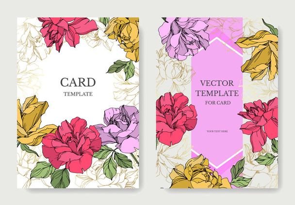 Vector Roses flowers. Engraved ink art. Wedding background cards. Elegant cards illustration graphic set. - Vetor, Imagem