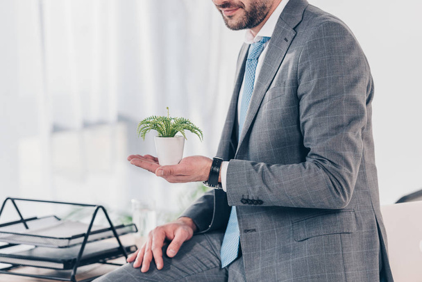 cropped view of businessman in suit holding flowerpot with plant in office - Fotoğraf, Görsel