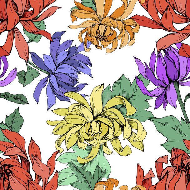 Vector Chrysanthemum flores botânicas florais. Arte de tinta gravada. Padrão de fundo sem costura
. - Vetor, Imagem