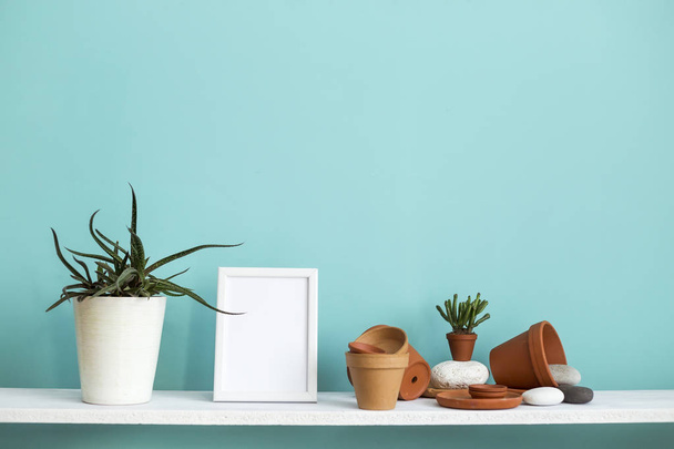 Etagère blanche contre le mur turquoise pastel avec poterie et plante succulente avec plante succulente en pot
. - Photo, image