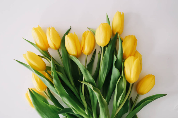 Beautiful tulips on white background. Flat lay, top view. Concept of Easter, March 8. Spring flowers - Fotoğraf, Görsel