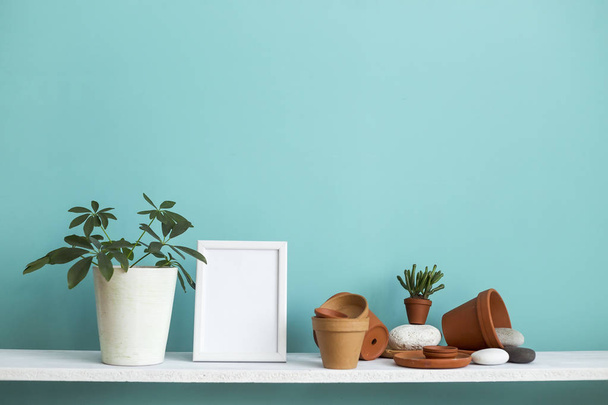 Biała półka na pastelową turkusową ścianę z ceramiką i soczystą rośliną z rośliną doniczkową. - Zdjęcie, obraz