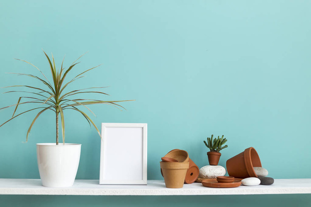 Etagère blanche contre le mur turquoise pastel avec poterie et plante succulente avec plante en pot dracaena
. - Photo, image