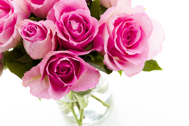 ροζ τριαντάφυλλα - Φωτογραφία, εικόνα