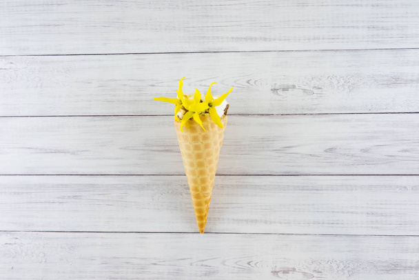Ice-cream in a cone. - Foto, afbeelding