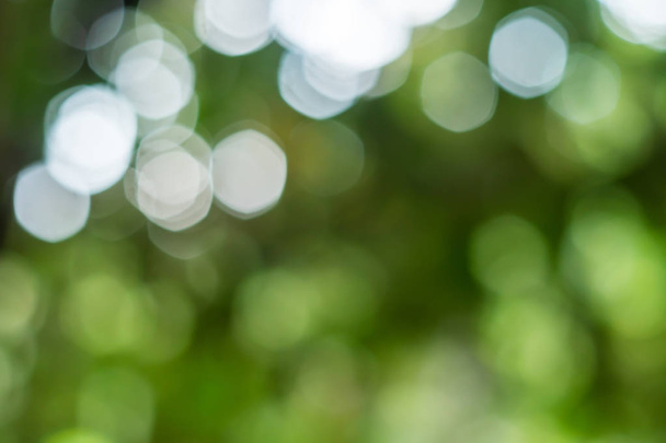 緑の葉からの抽象的な光ボケの自然 - 写真・画像