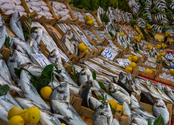 Edirne, Turecko-únor 2019: místní sídlo rybího trhu ve městě Edirne v Turecku - Fotografie, Obrázek