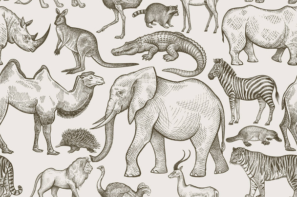 Seamless pattern with animals. - Vector, Imagen