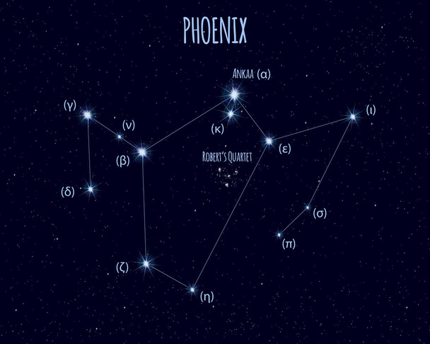Gwiazdozbiór Feniksa, ilustracja wektorowa z nazwami gwiazd podstawowych przeciwko gwiaździste niebo - Wektor, obraz