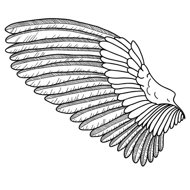 Ručně tažené křídlo v retro stylu. Kreslené dílo náčrt, čárový obrázek - Vektor, obrázek