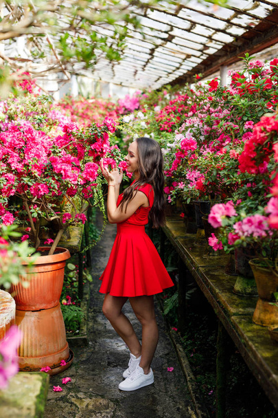 Portrait of a young beautiful brunette in a red dress in a beautiful botanical garden with flowers - Foto, Imagen