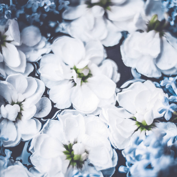 Flores vintage en un jardín de ensueño, fondo floral
 - Foto, imagen