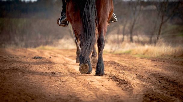 hautnah Pferdehufe, Wandern auf dem Weg in den Bauernhof, braune Erde, Bulgarien - Foto, Bild