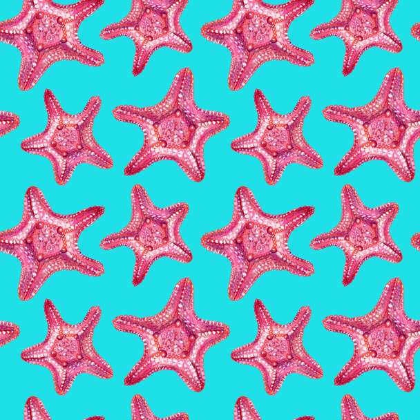Seamless pattern with starfish. - Photo, Image