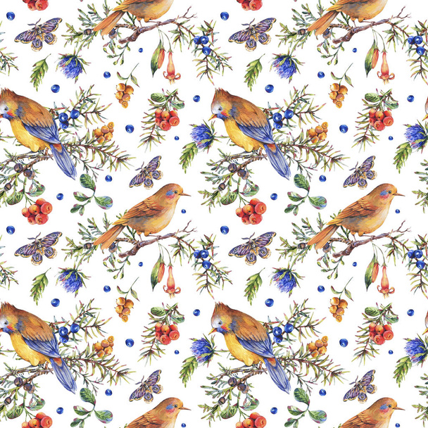 Watercolor vintage floral forest seamless pattern with birds, fi - Foto, immagini