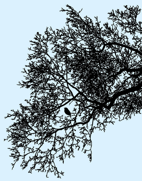 Silhouette di rami d'albero in inverno
 - Vettoriali, immagini